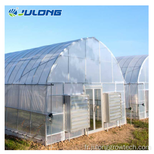 Greenhouses de légumes à faible coût à vendre